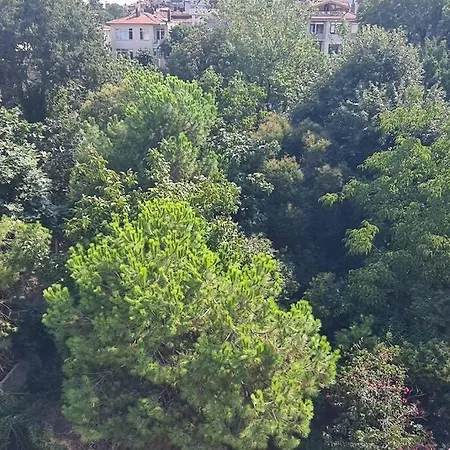 Charming 3 Bedroom At Suleyman Pasa St Διαμέρισμα Κωνσταντινούπολη